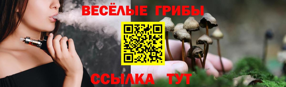 Псилоцибиновые грибы прущие грибы  Вход с VPN  Скопин 